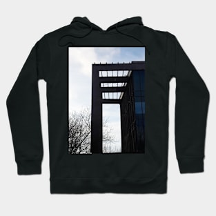 Modern building and two birds Hoodie